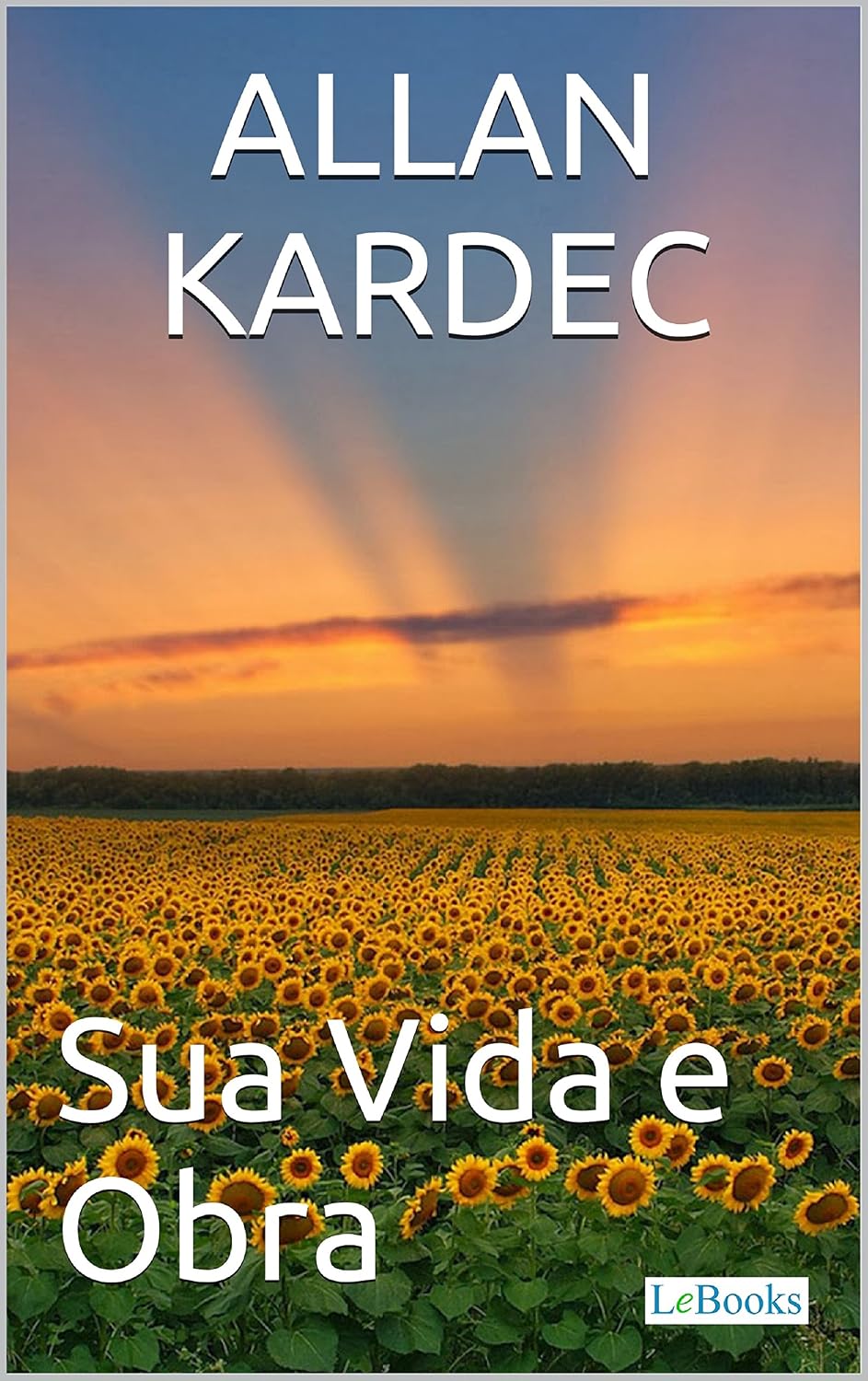 capítulo por capítulo baixar Allan Kardec: Sua Vida e Obra - Biografia ilustrada (Coleção Grandes Homens)