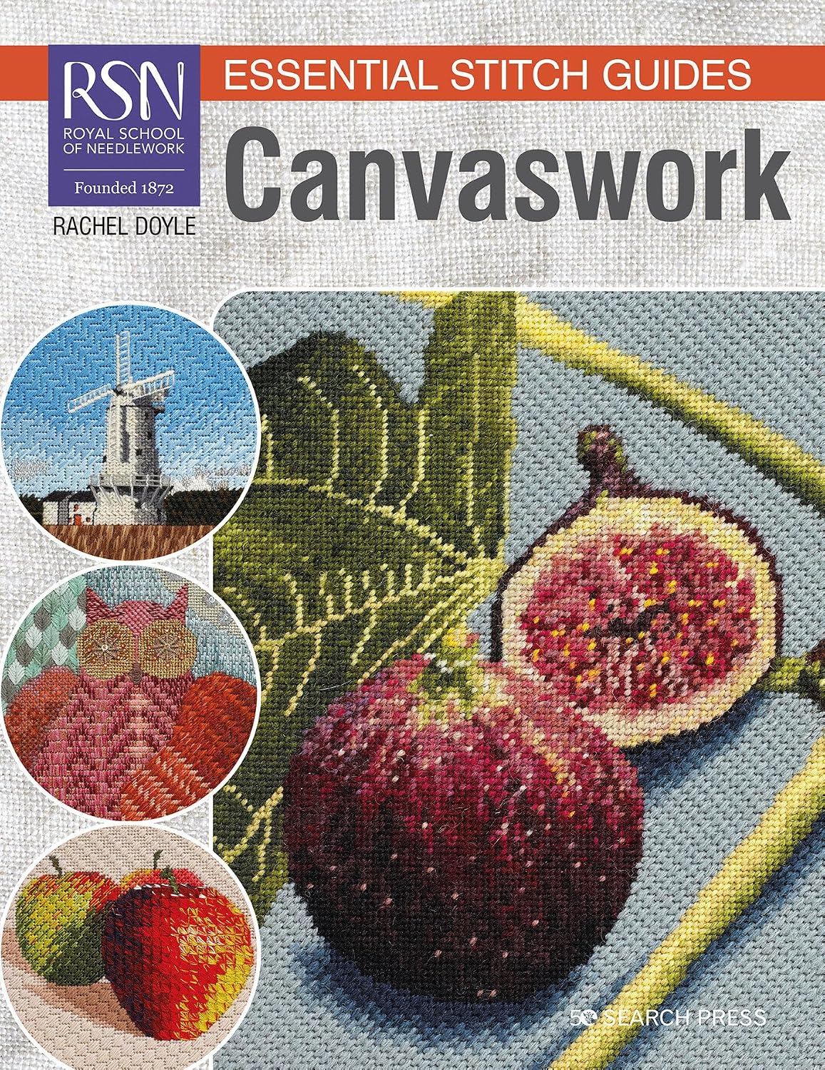 RSN Essential Stitch Guides: Canvaswork: Large Format Edition (RSN Essential Stitch Guides)