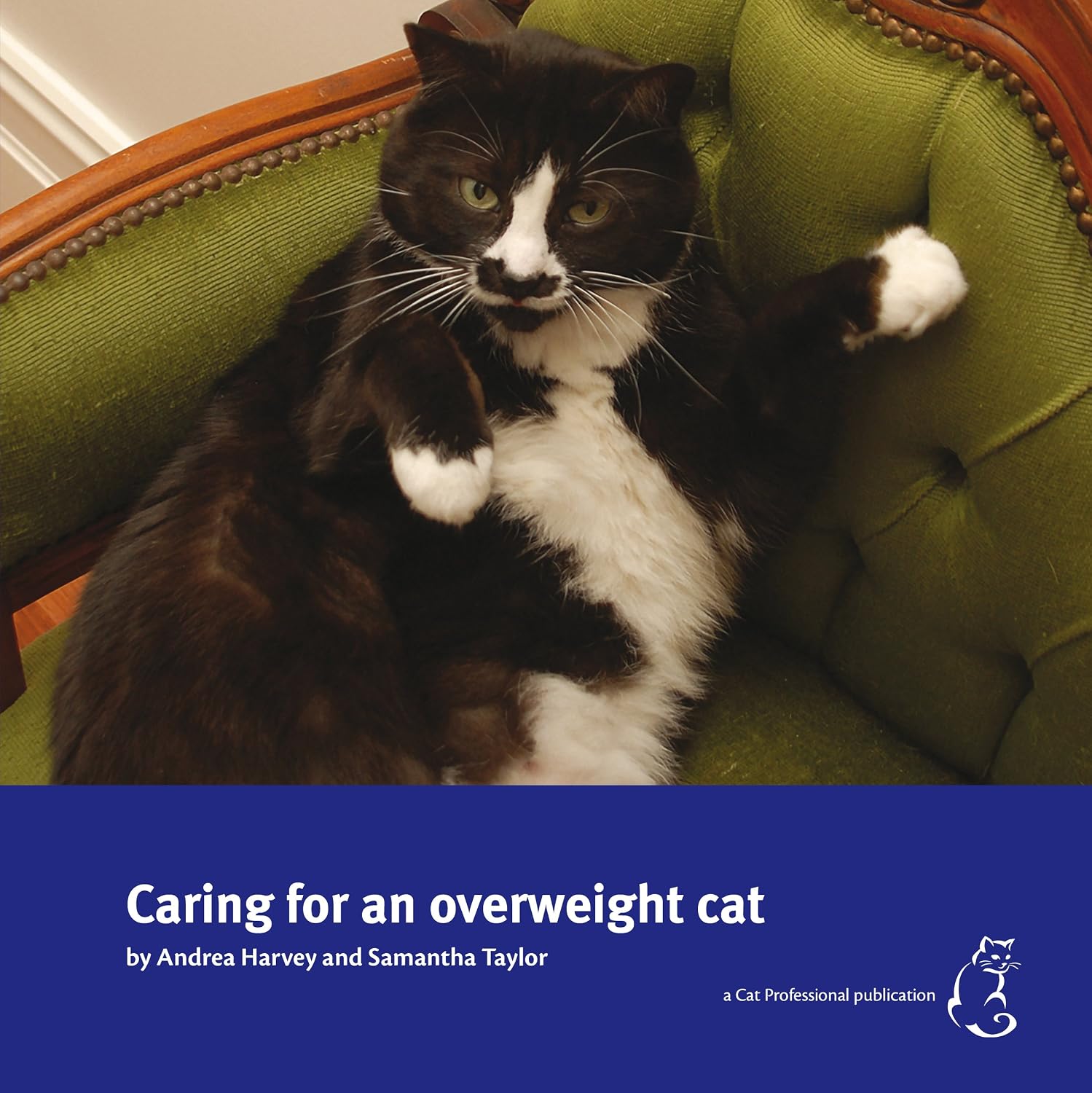 Caring for an Overweight Cat baixar livro de graça