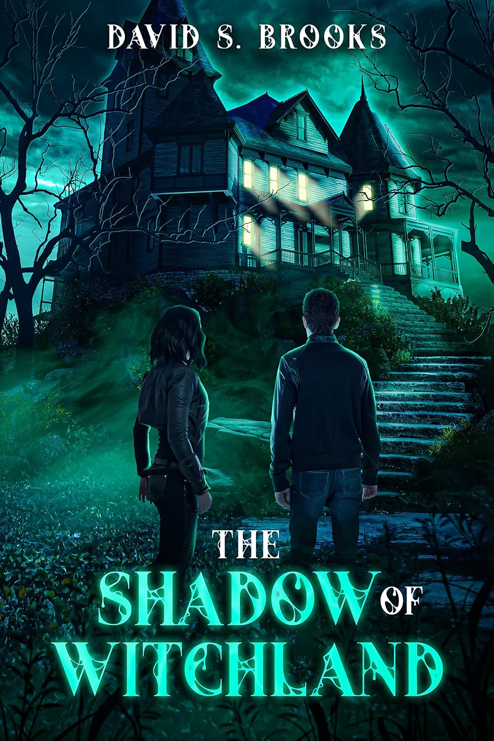 ler totalmente The Shadow of Witchland: A quirky YA dark fantasy (English Edition)