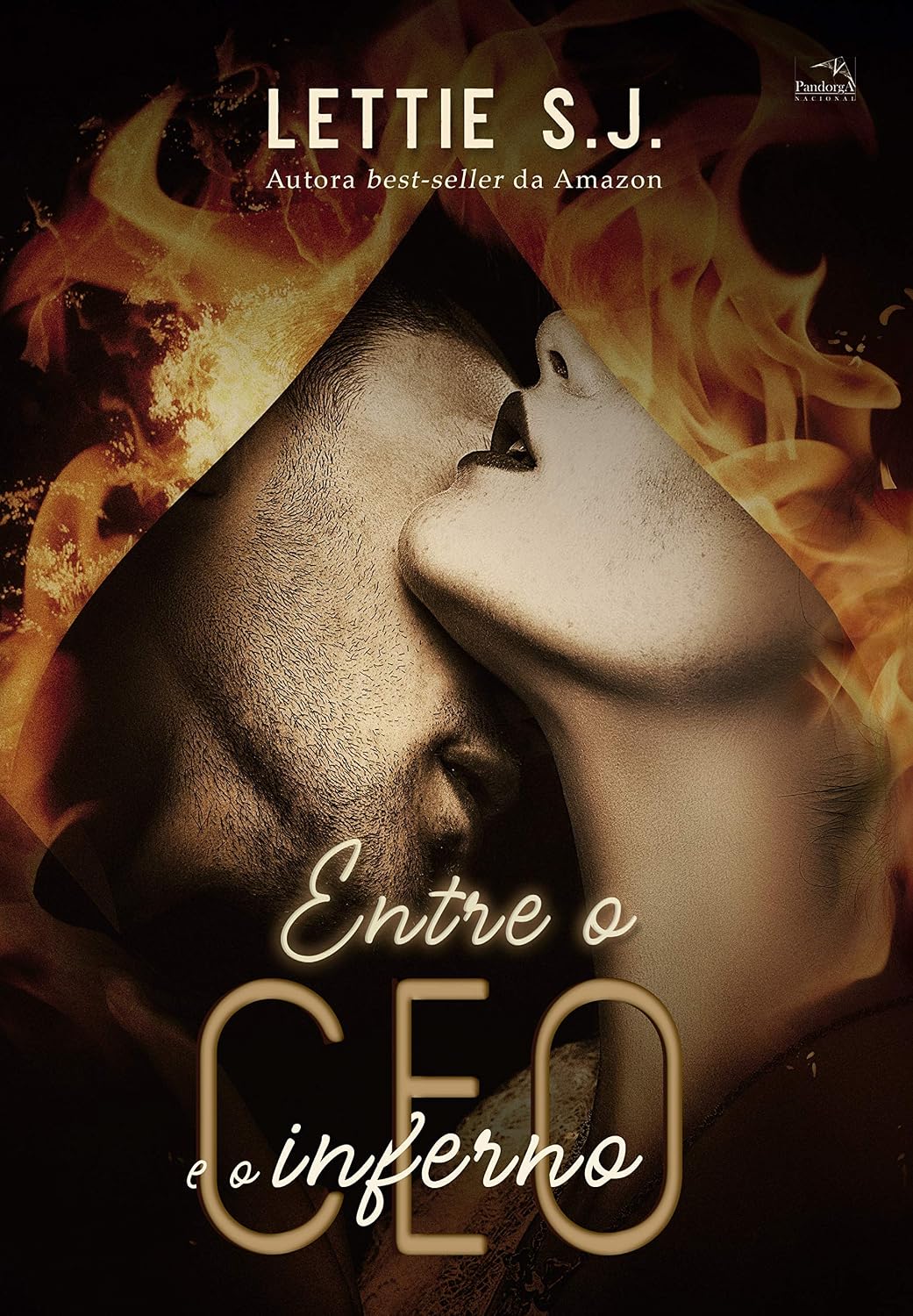 Entre o CEO e o inferno baixar o livro de graça