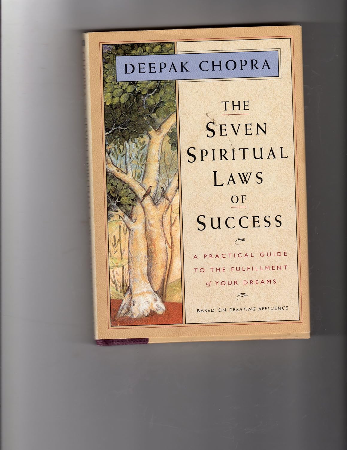 As sete leis espirituais de sucesso: um guia prático para a realização dos seus sonhos baixar o livro de graça