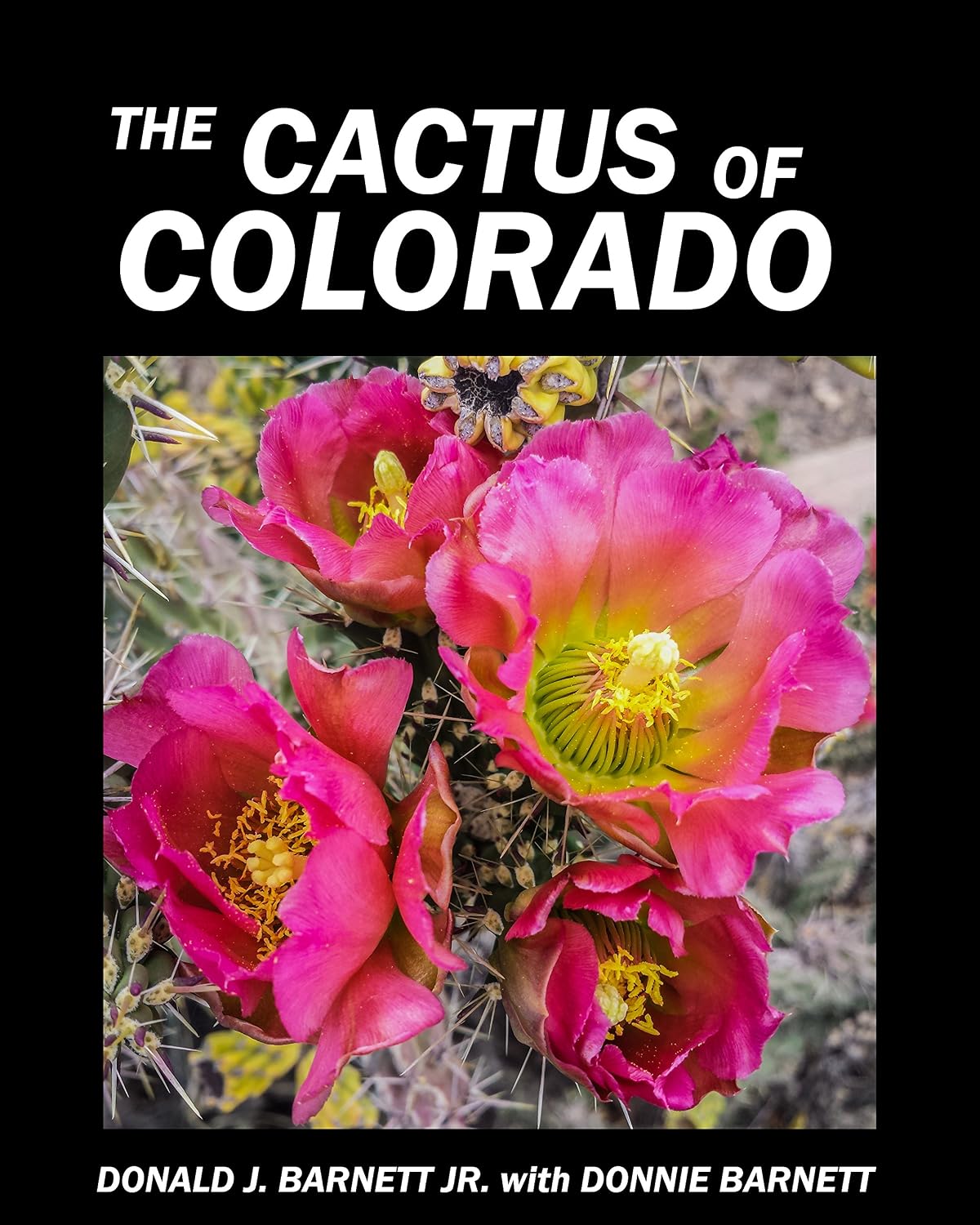 capítulo por capítulo baixar The Cactus of Colorado