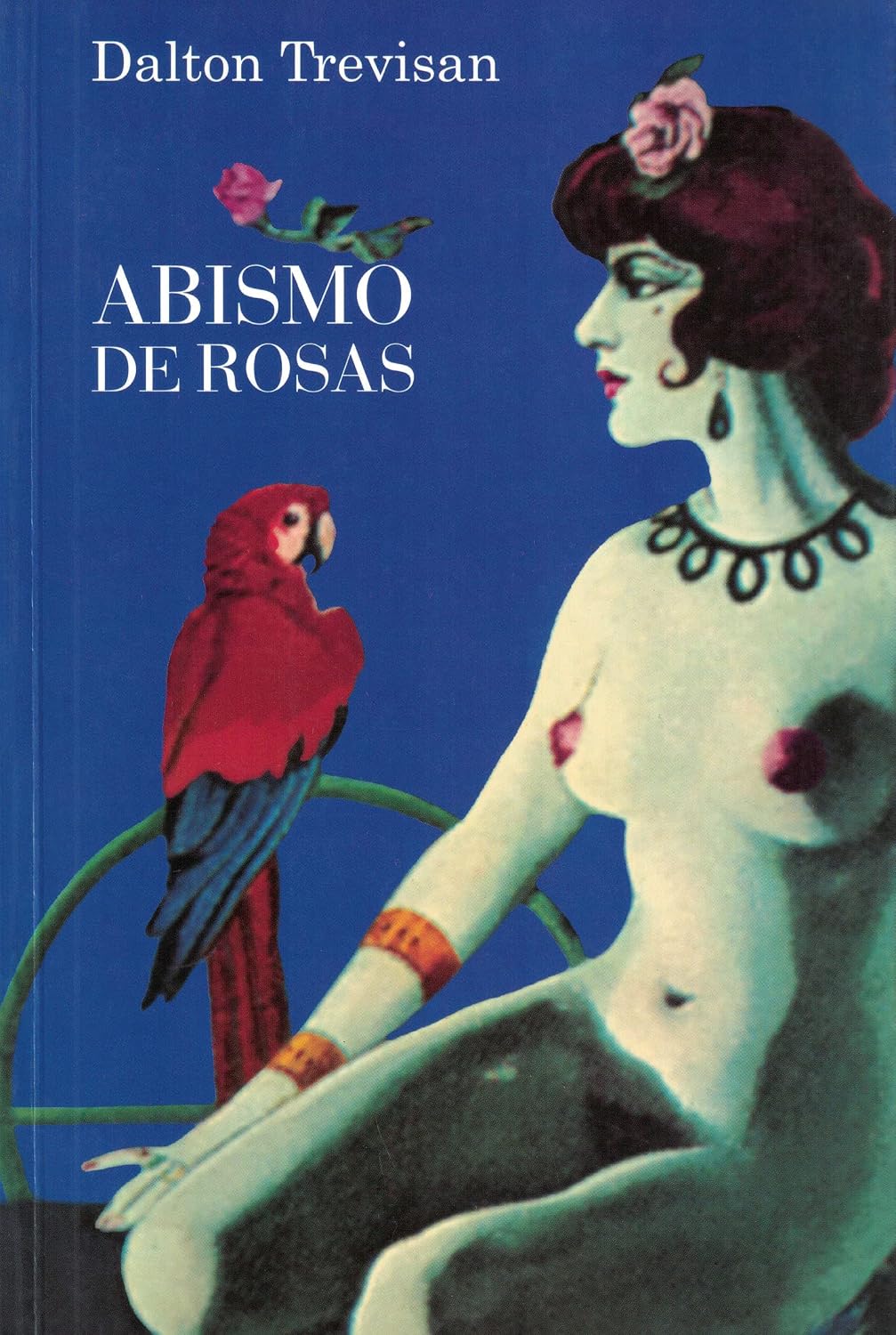 Eu não sou cachorro, não baixar o livro de graça