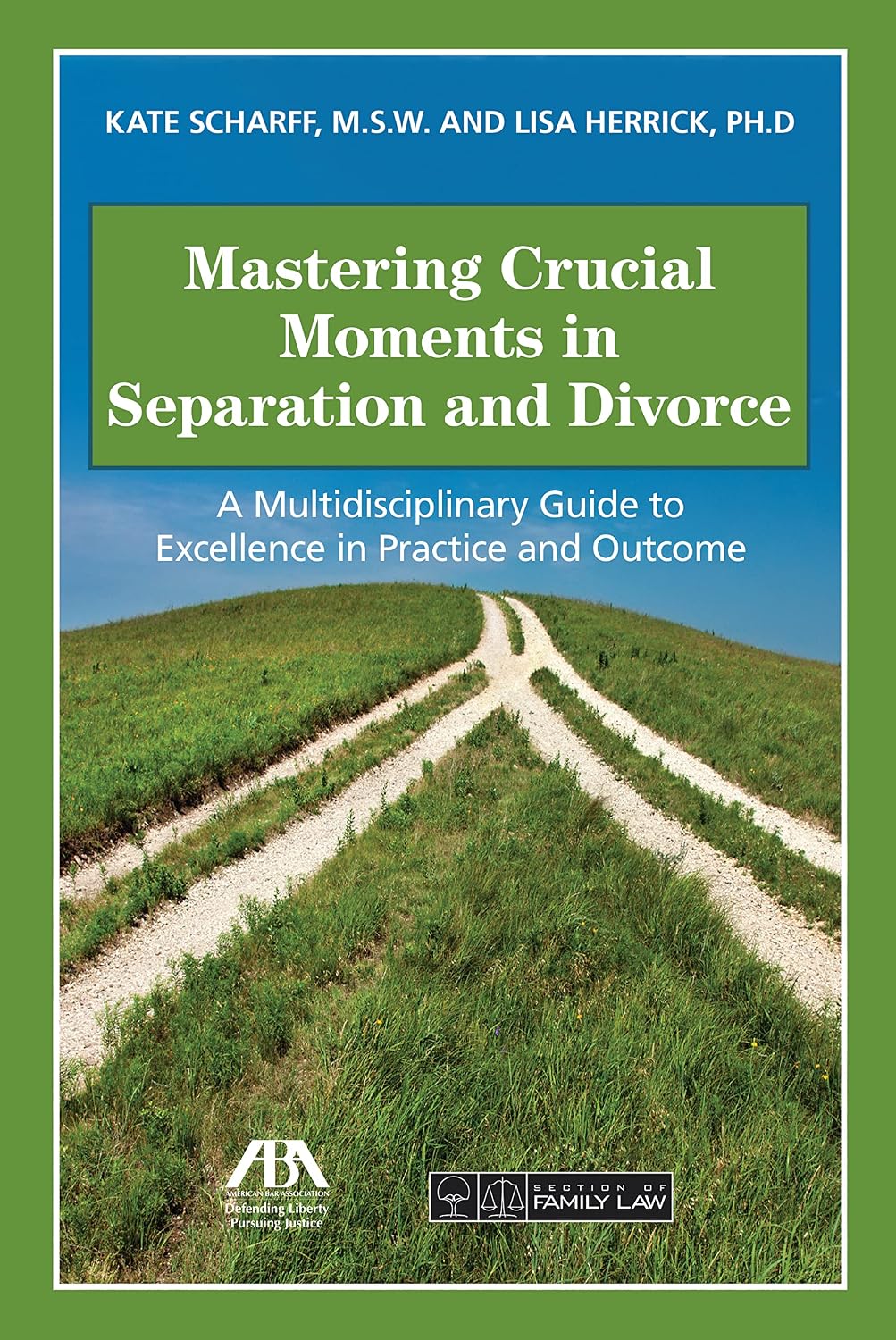 Mastering Crucial Moments in Separation and Divorce: A Multidisciplinary Guide to Excellence in Practice and Outcome (English Edition) baixar livro de graça