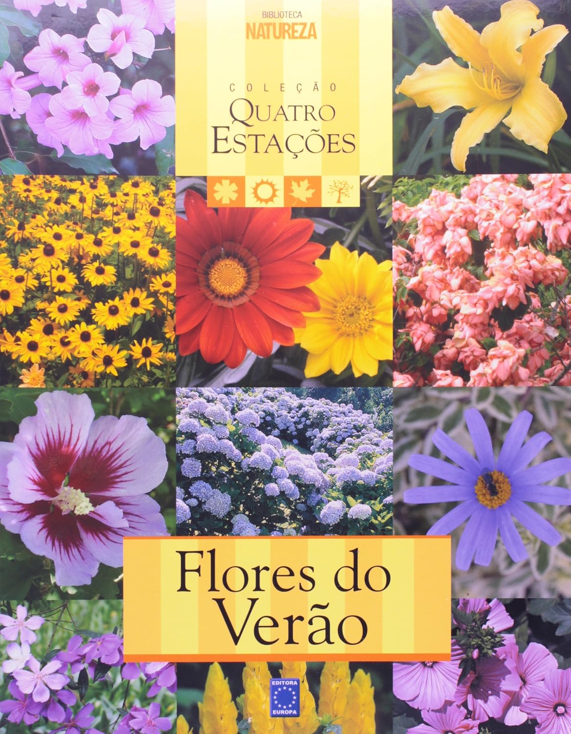 ler totalmente Flores de Verão - Coleção Quatro Estações