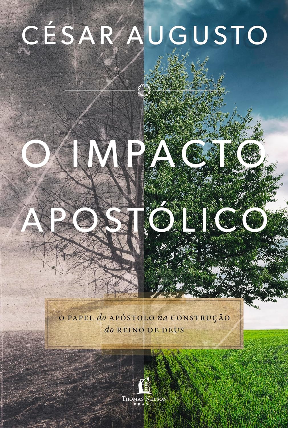 ler totalmente O impacto apostólico: O papel do apóstolo na construção do Reino de Deus