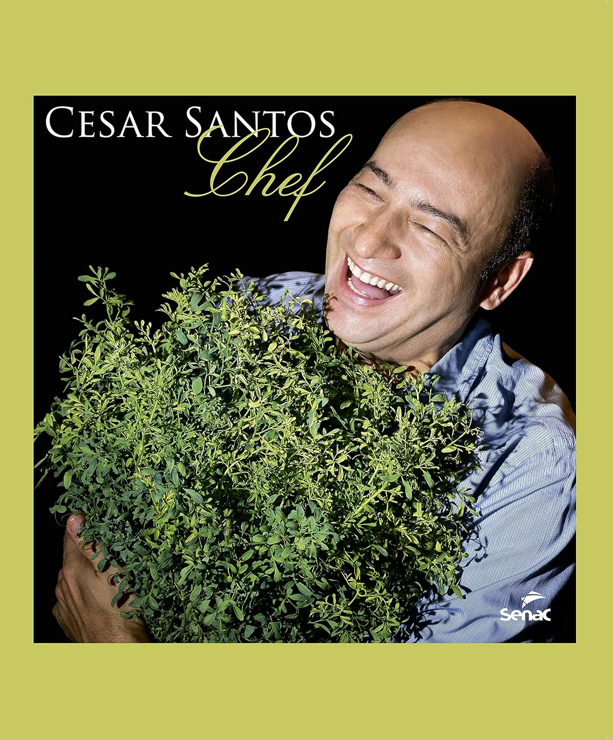 capítulo por capítulo baixar Cesar Santos, chef
