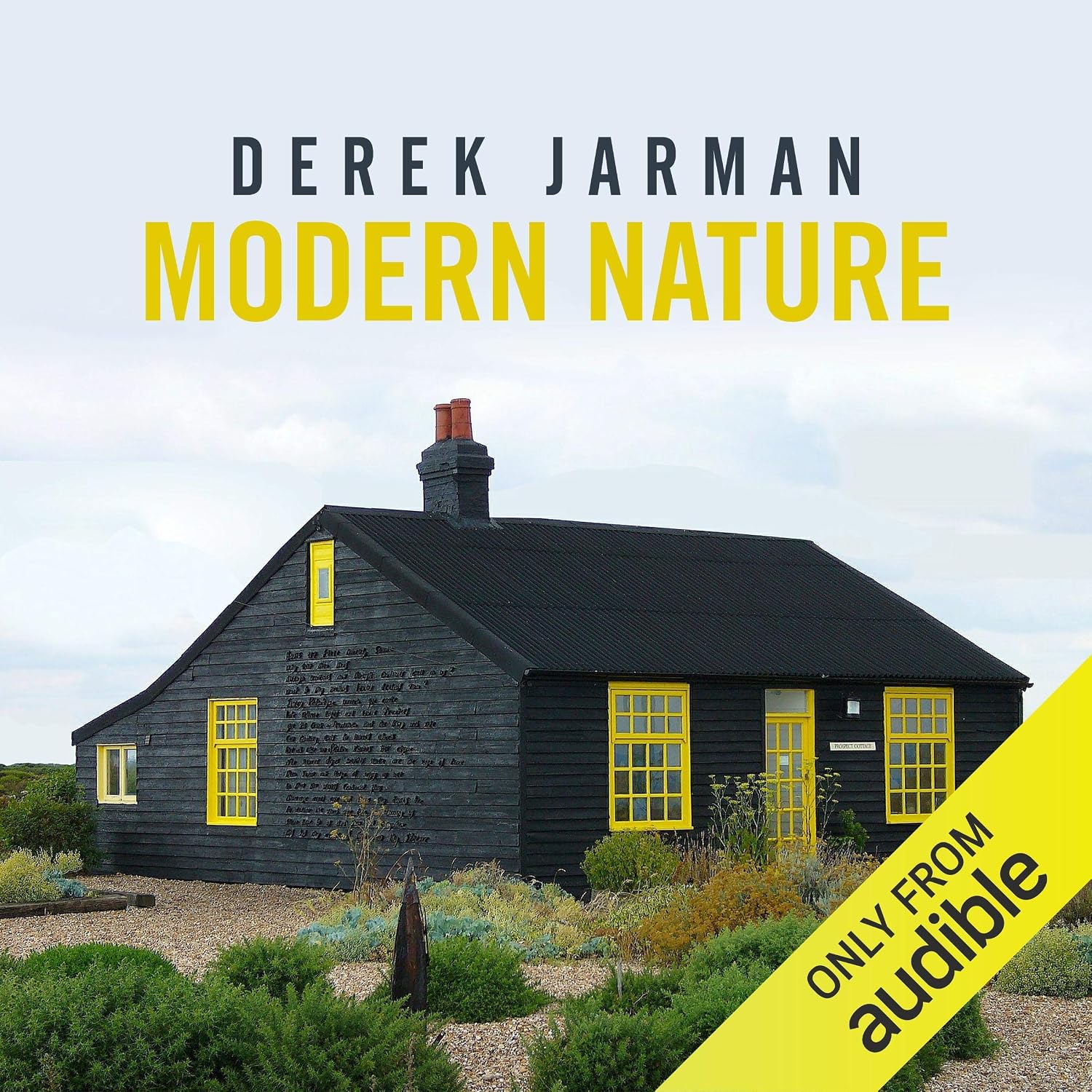 ler totalmente Modern Nature: Journals, 1989 - 1990