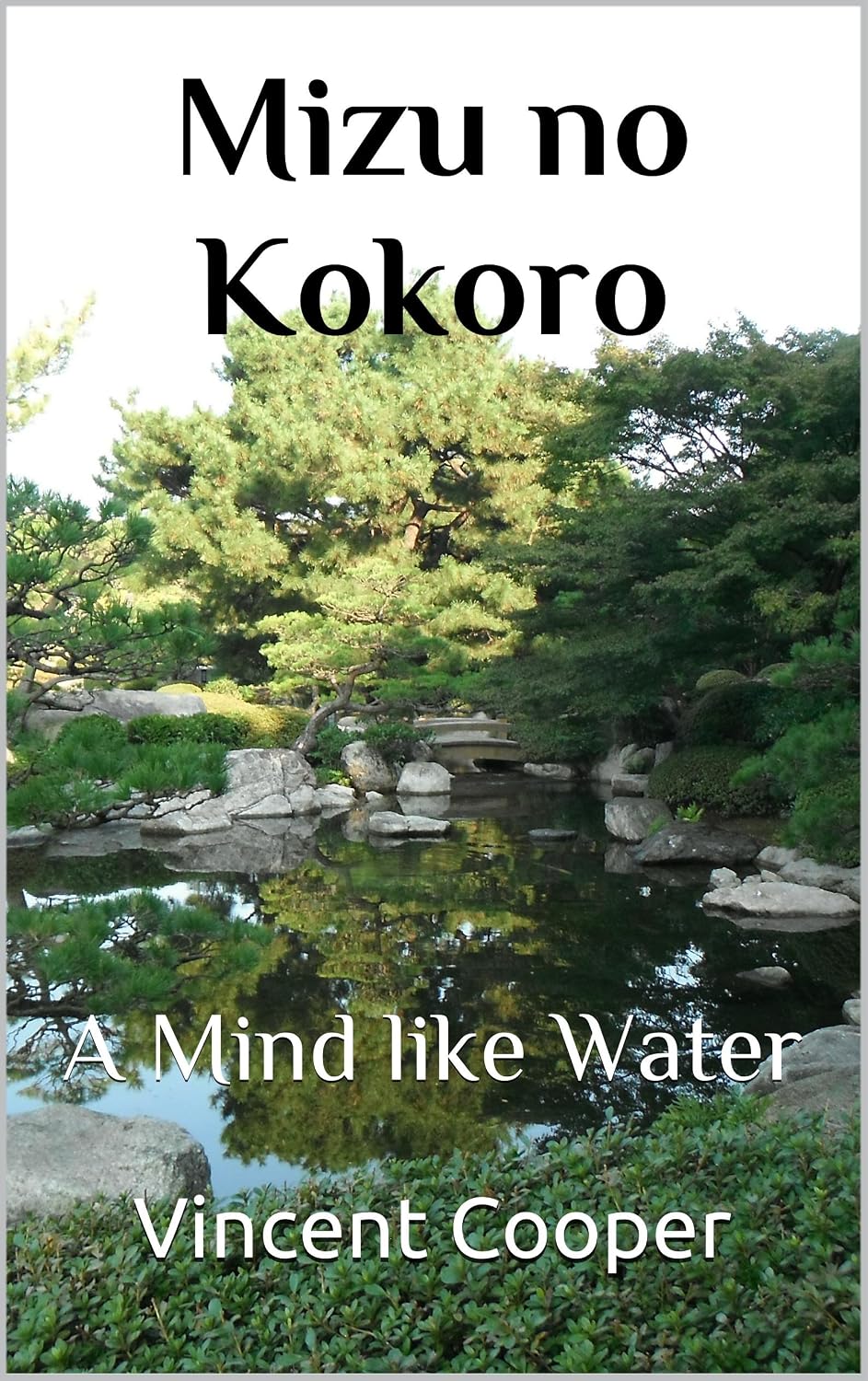 capítulo por capítulo baixar Mizu no Kokoro: A Mind Like Water (Shotokan Karate Concepts Book 3) (English Edition)