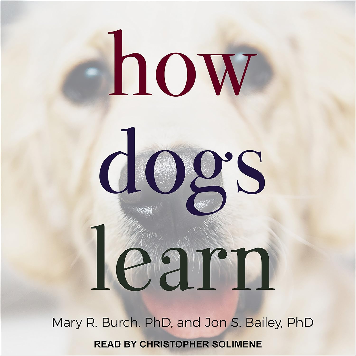 ler totalmente How Dogs Learn