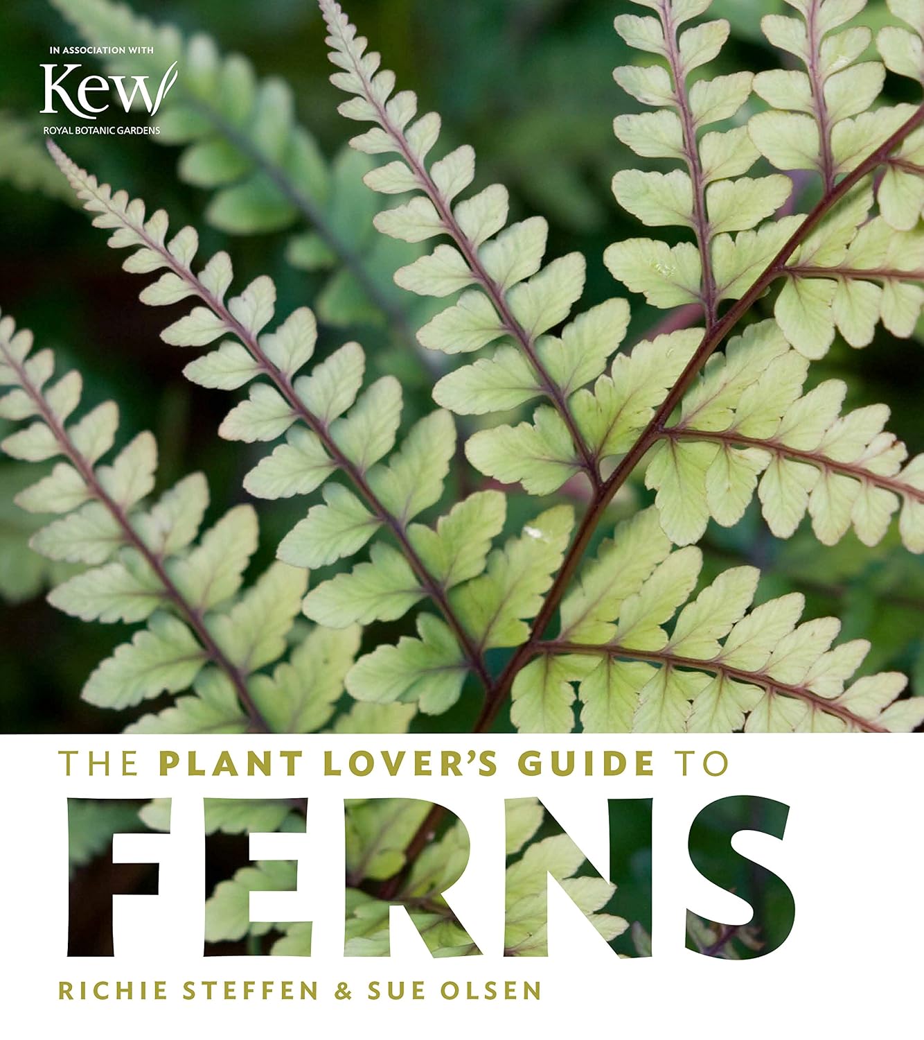 capítulo por capítulo baixar The Plant Lover's Guide to Ferns