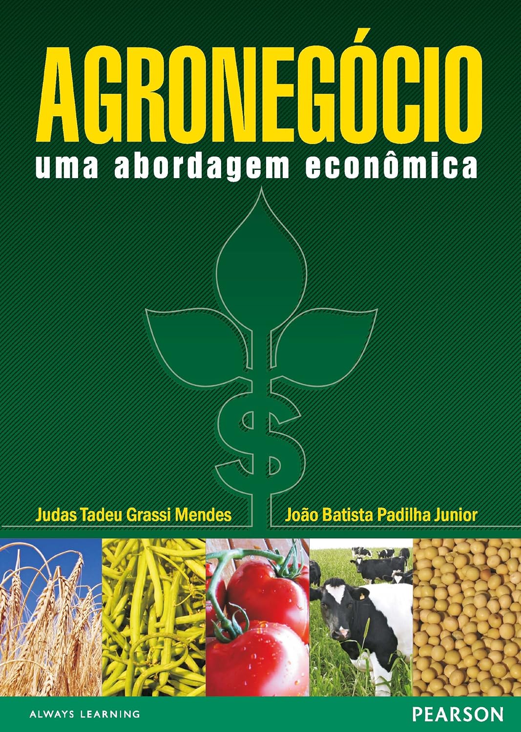 ler totalmente Agronegócio: uma abordagem econômica