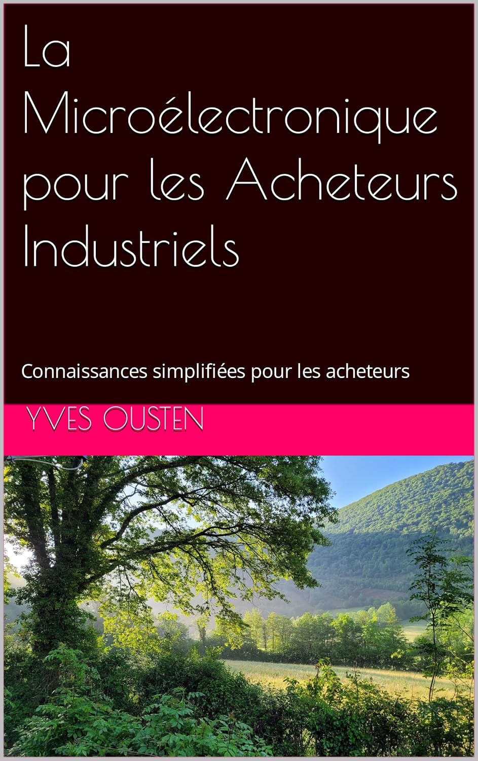 ler totalmente La Microélectronique pour les Acheteurs Industriels: Connaissances simplifiées pour les acheteurs (French Edition)