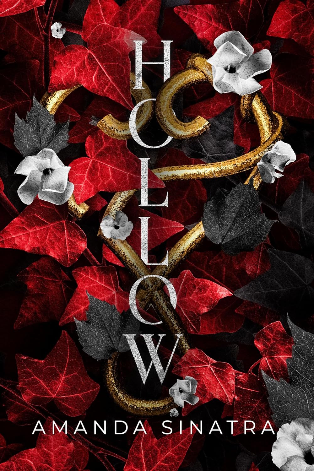 ler totalmente Hollow (The Hollow Series Book 1) (English Edition)