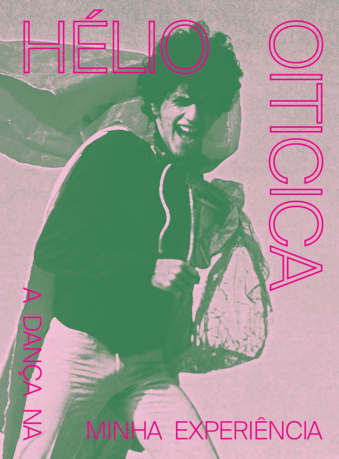 Hélio Oiticica: a dança na minha experiência baixar o livro de graça