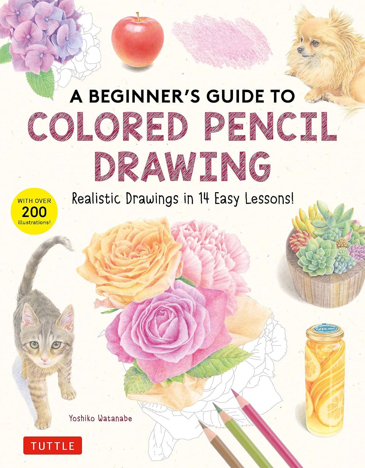 ler totalmente Beginner's Guide to Colored Pencil Drawing: Realistic Drawings in 14 Easy Lessons! (With Over 200 illustrations) (English Edition)
