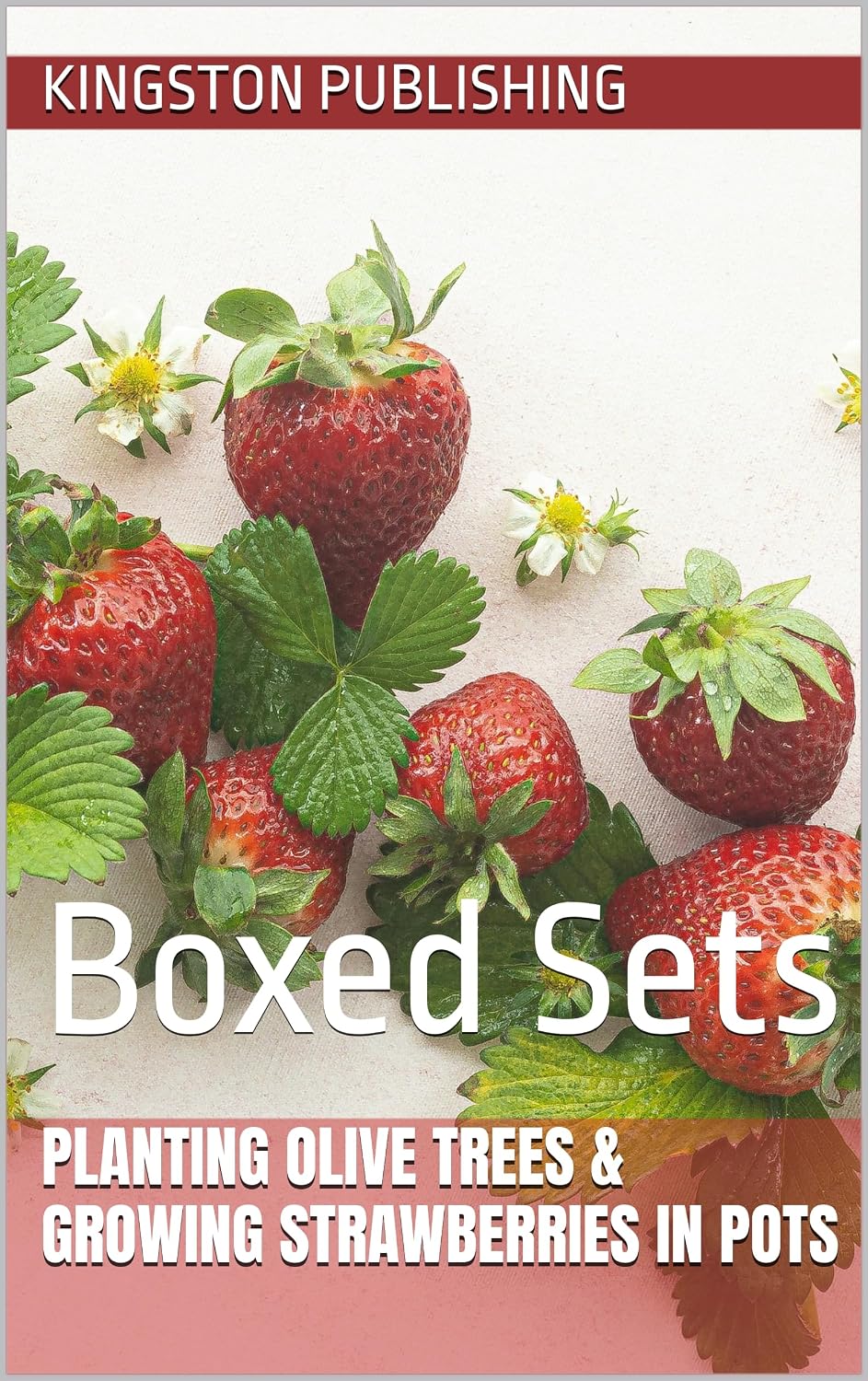 Planting Olive Trees & Growing Strawberries in Pots: Boxed Sets (Homegrown Fruits and Vegetables) (English Edition) baixar livro de graça