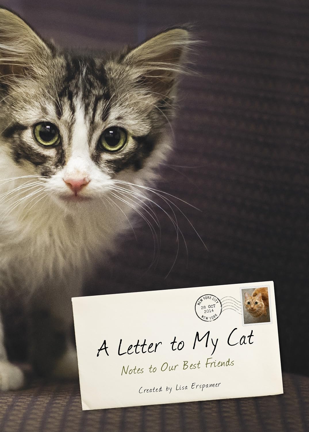 A Letter to My Cat: Notes to Our Best Friends (English Edition) baixar livro de graça