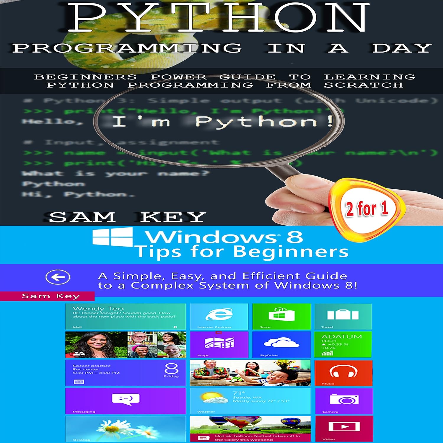 Python Programming in a Day & Windows 8 Tips for Beginners