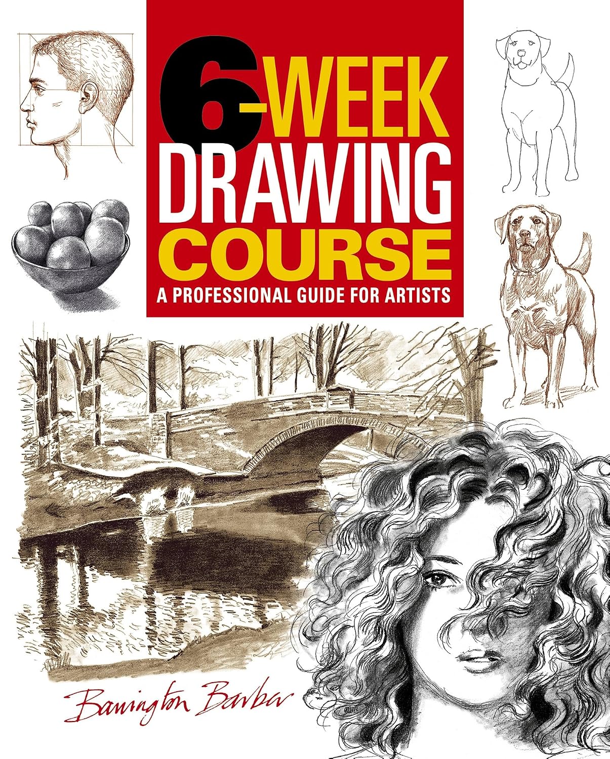 6-Week Drawing Course: A Professional Guide for Artists (English Edition)