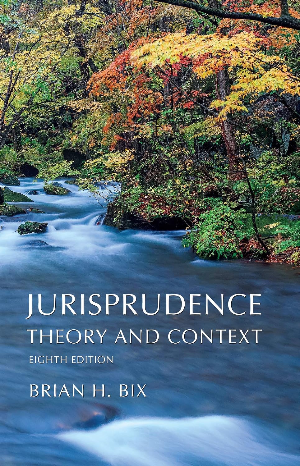 capítulo por capítulo baixar Jurisprudence: Theory and Context