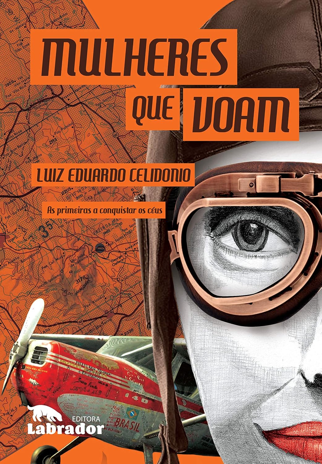 Mulheres que voam baixar livro de graça