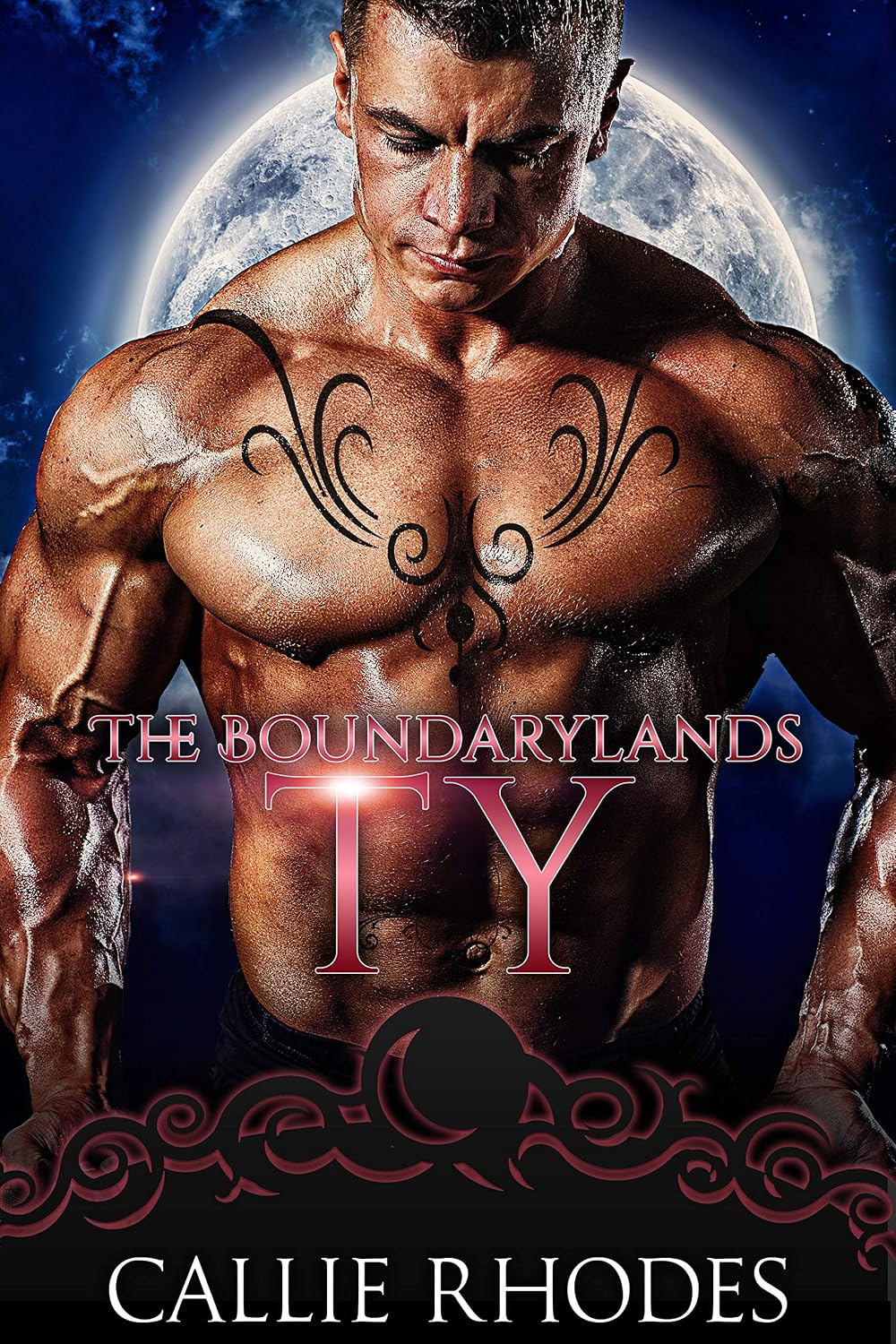 ler totalmente Ty: The Boundarylands Omegaverse: M/F Alpha Omega Romance (English Edition)