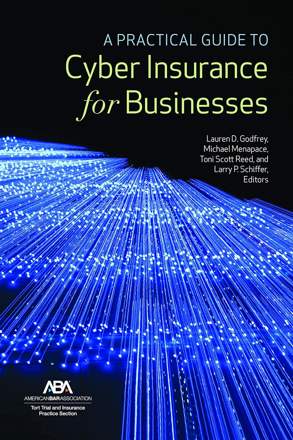 A Practical Guide to Cyber Insurance for Businesses (English Edition) baixar o livro de graça