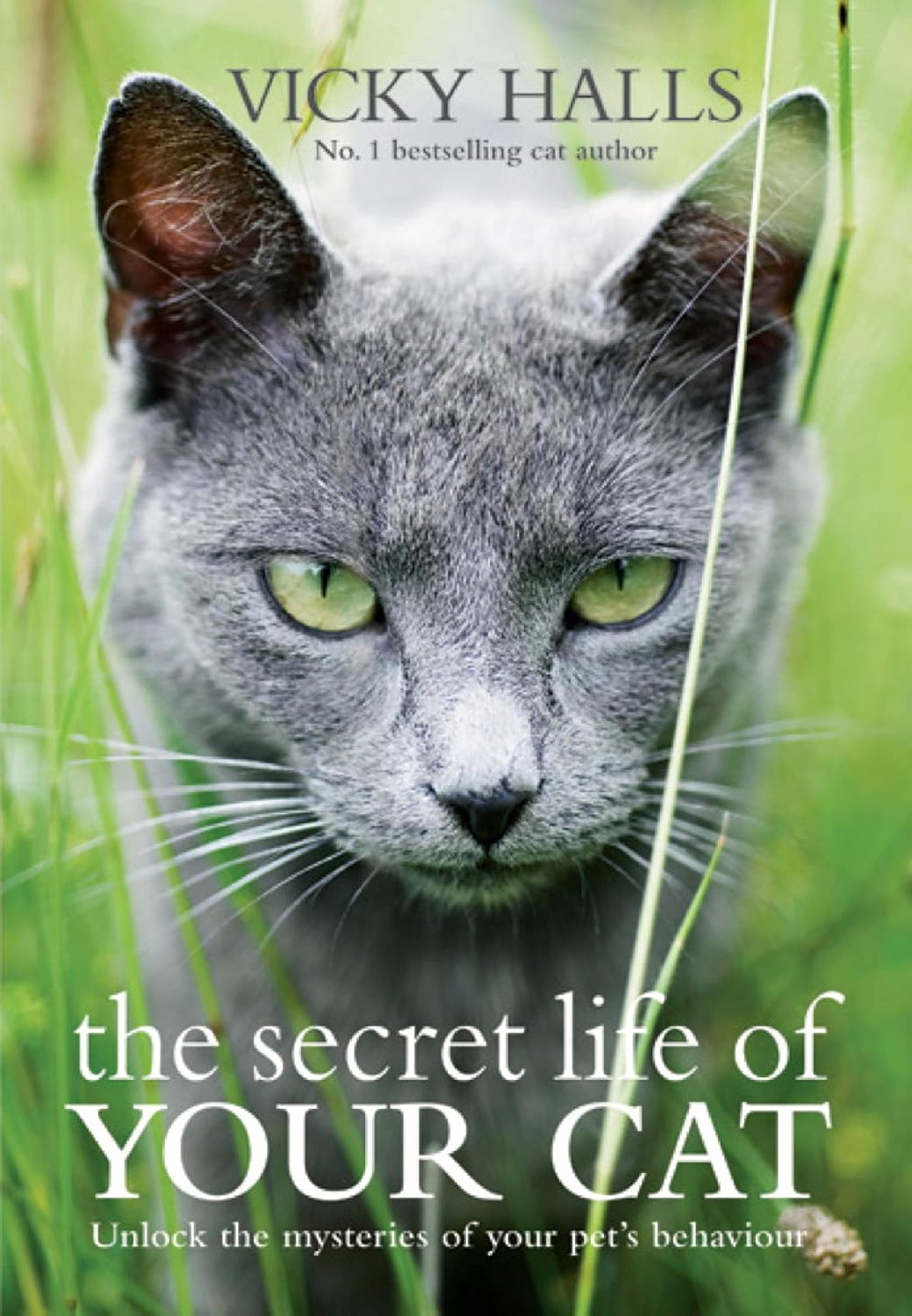 capítulo por capítulo baixar The Secret Life of your Cat: The visual guide to all your cat's behaviour (English Edition)