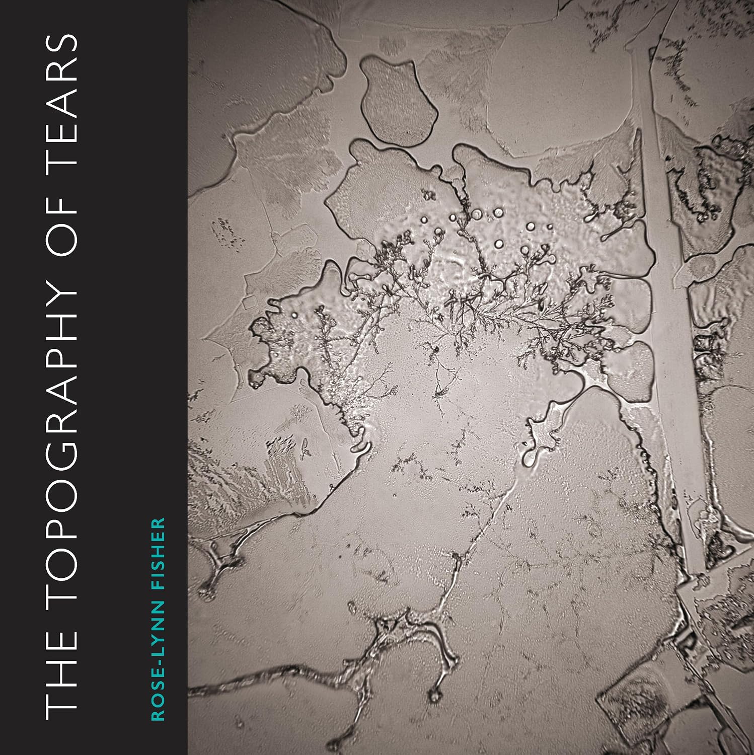 capítulo por capítulo baixar The Topography of Tears
