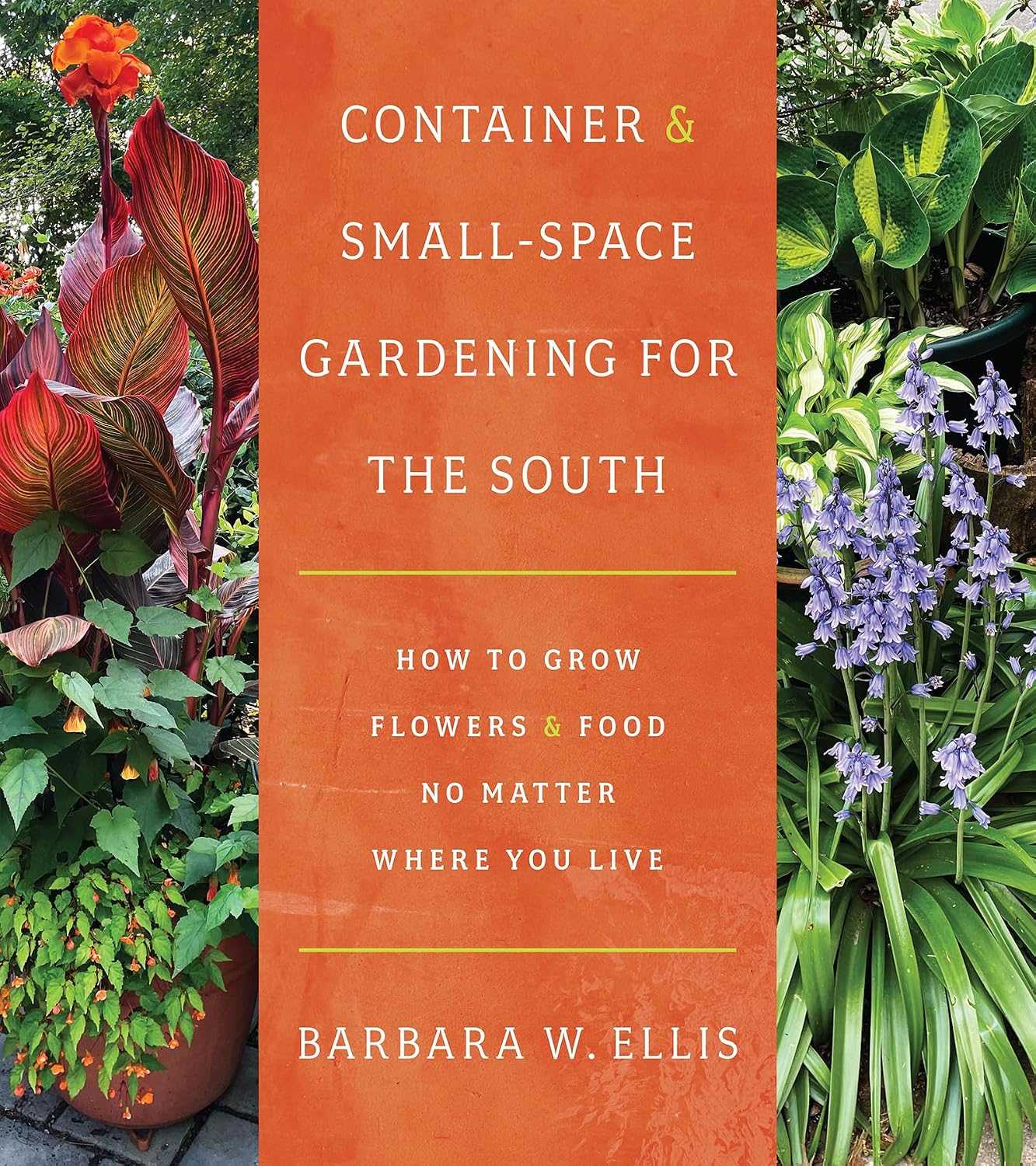 Container and Small-Space Gardening for the South: How to Grow Flowers and Food No Matter Where You Live (English Edition) baixar livro de graça