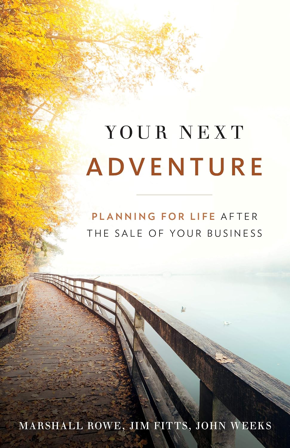 Your Next Adventure: Planning for Life After the Sale of Your Business (English Edition) baixar livro de graça