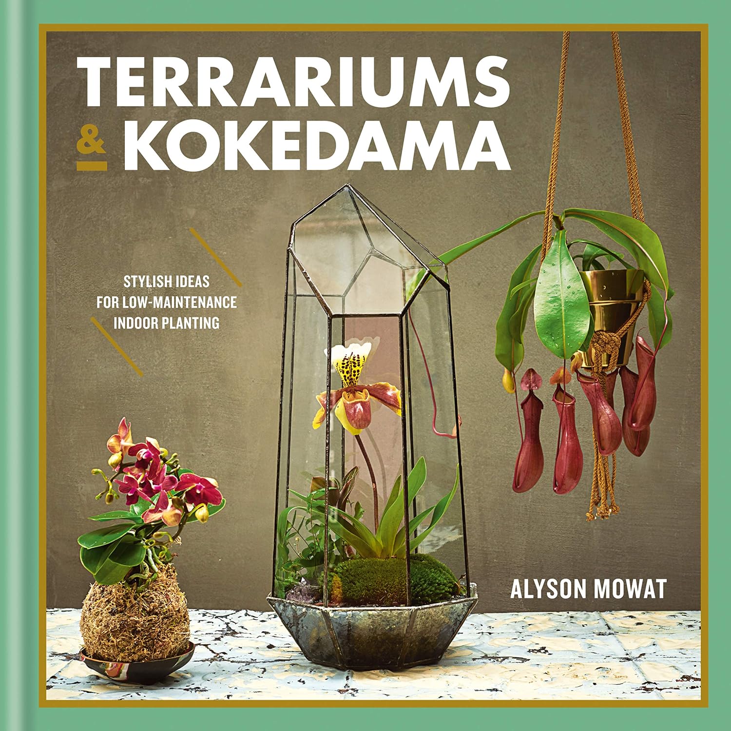 ler totalmente Terrariums & Kokedama (English Edition)