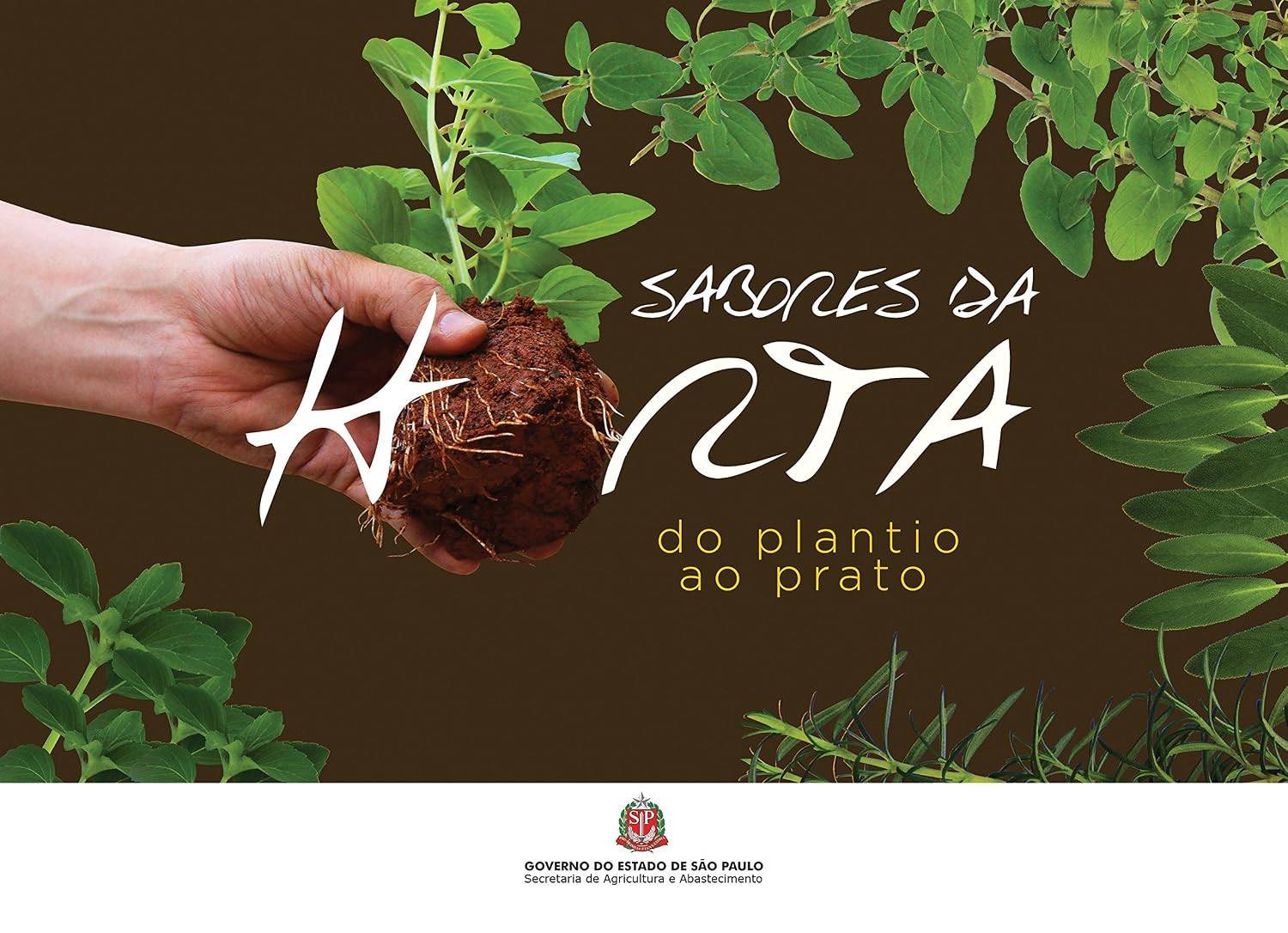 Sabores da horta: do plantio ao prato