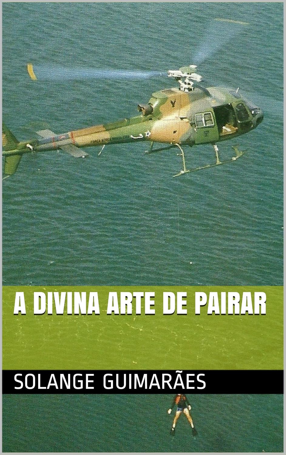 ler totalmente A DIVINA ARTE DE PAIRAR (SÉRIE FORÇA AÉREA BRASILEIRA / COLEÇÃO NO FINAL DO ARCO ÍRIS Livro 6)