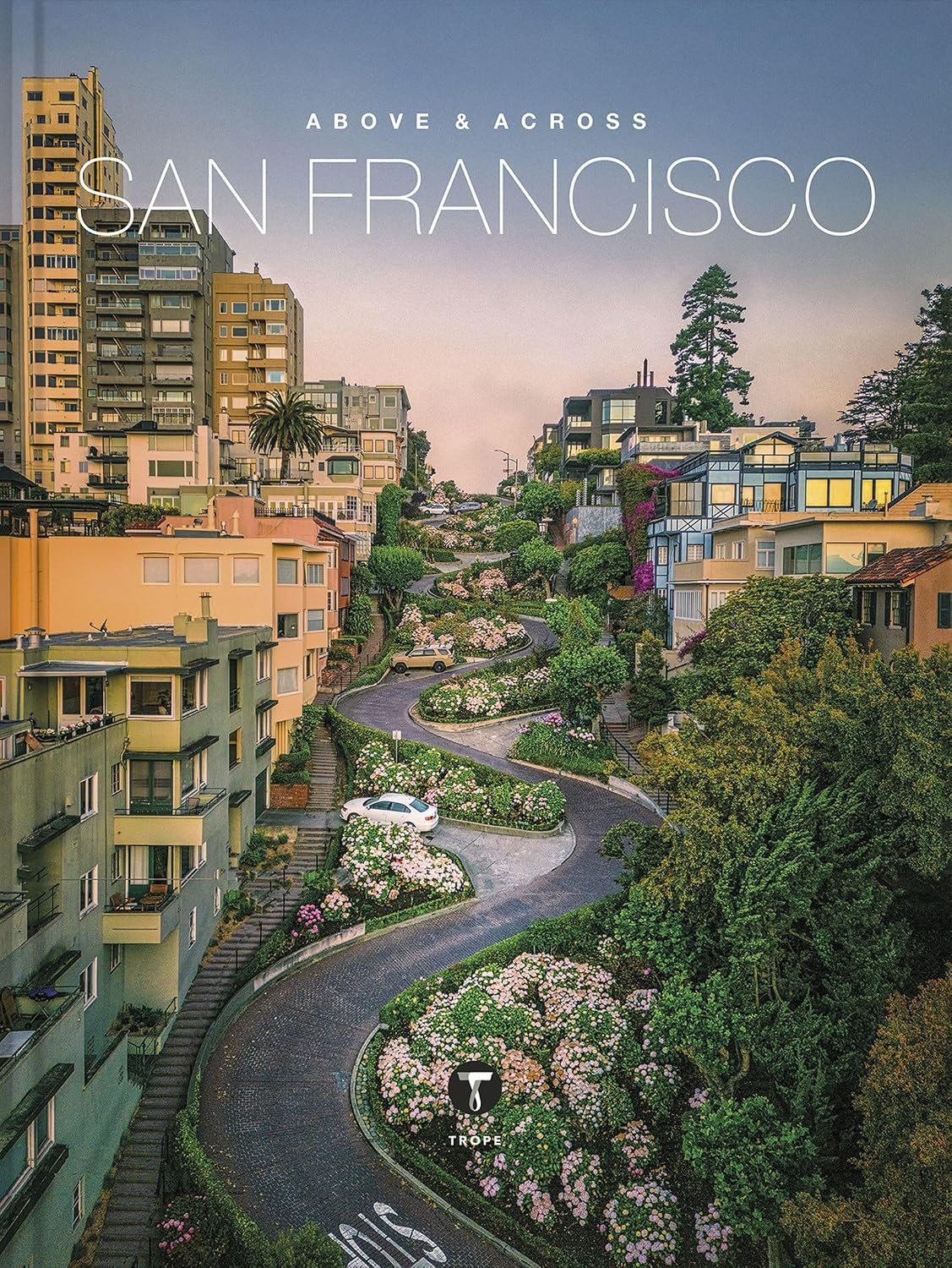 Above and Across San Francisco: 3 baixar o livro de graça