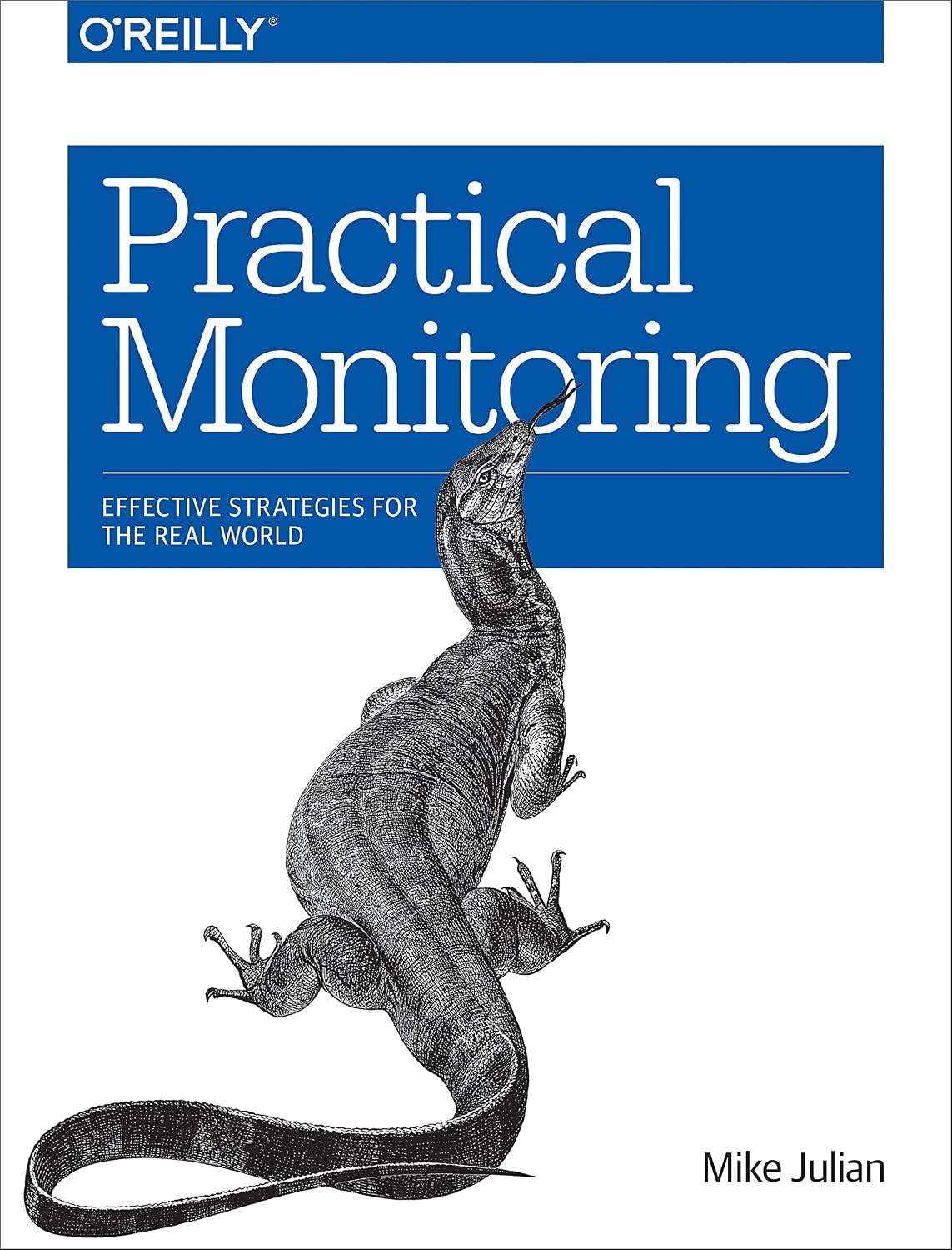 Practical Monitoring: Effective Strategies for the Real World (English Edition) baixar o livro de graça