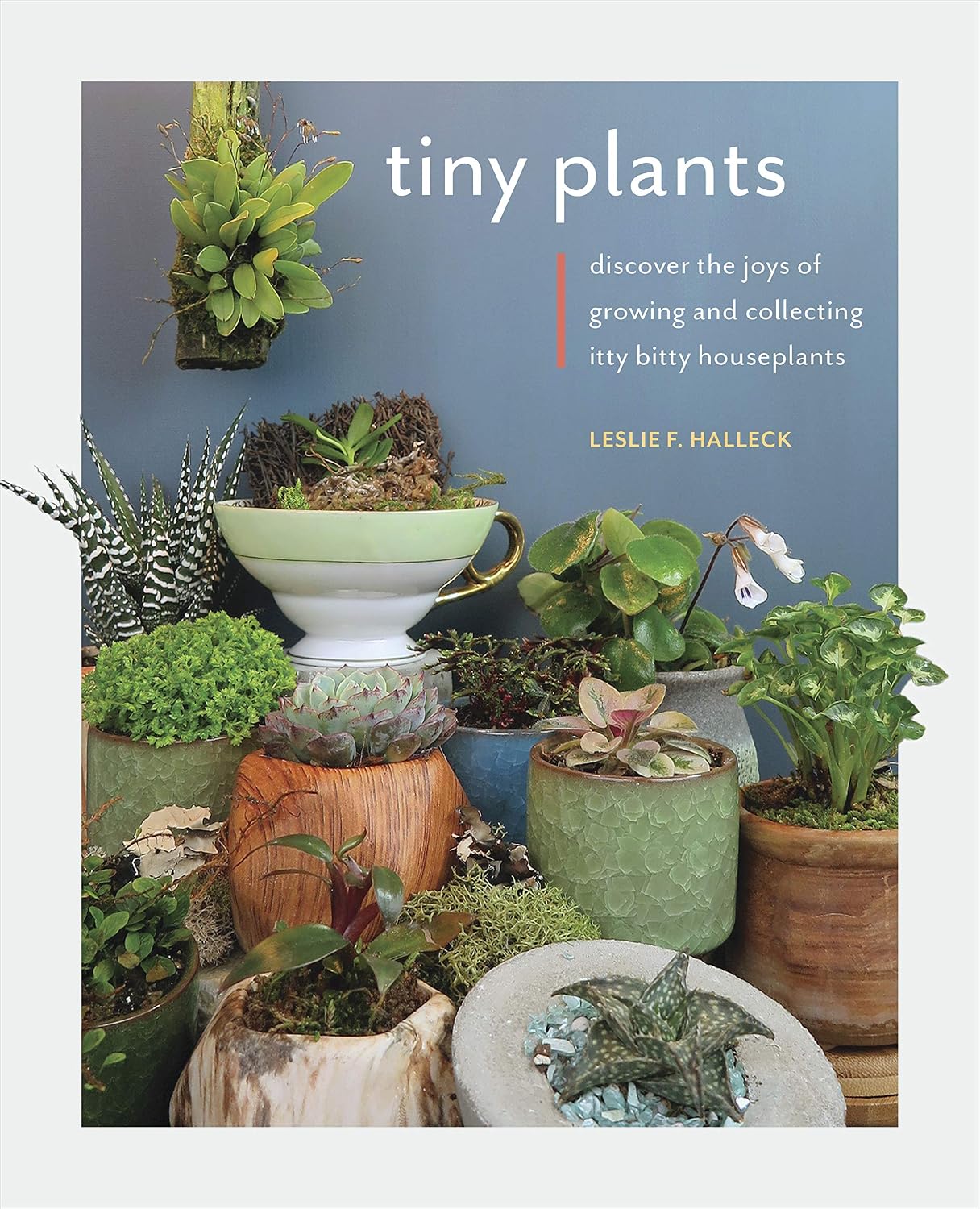 capítulo por capítulo baixar Tiny Plants: Discover the joys of growing and collecting itty-bitty houseplants (English Edition)