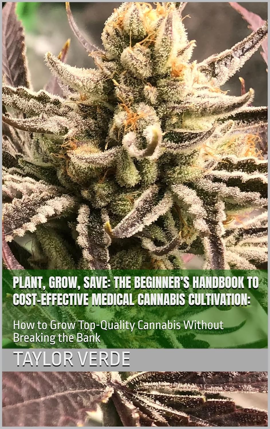 ler totalmente Plant, Grow, Save: The Beginner’s Handbook to Cost-Effective Medical Cannabis Cultivation:: How to Grow Top-Quality Cannabis Without Breaking the Bank (English Edition)