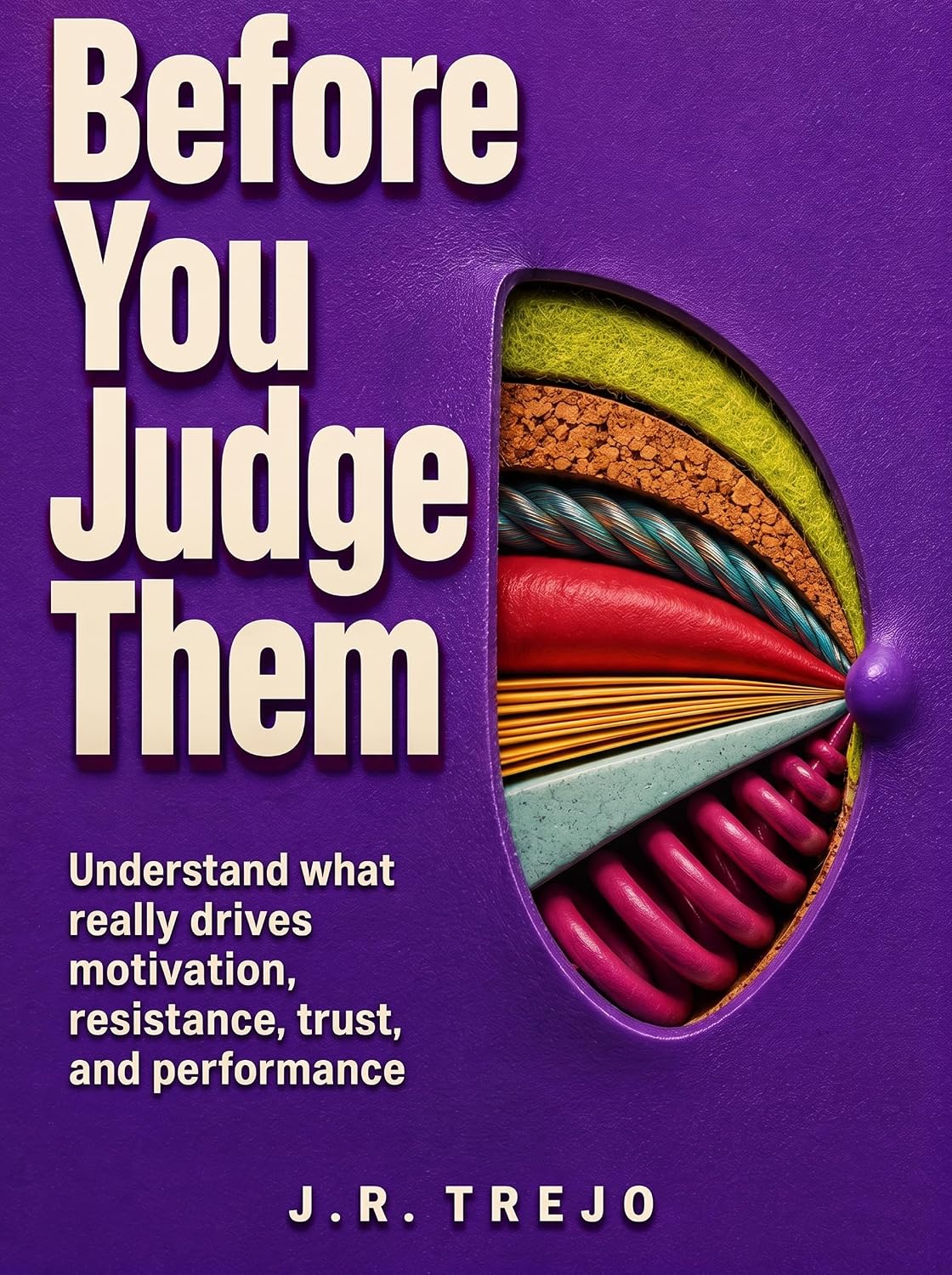 capítulo por capítulo baixar Before You Judge Them: Understand what really drives motivation, resistance, trust, and performance (The Leadership Ladder Book 3) (English Edition)