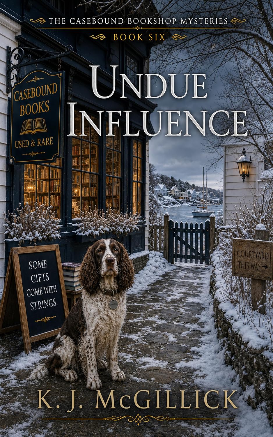 UNDUE INFLUENCE (The Casebound Bookshop Mysteries Book 6) (English Edition) baixar livro de graça