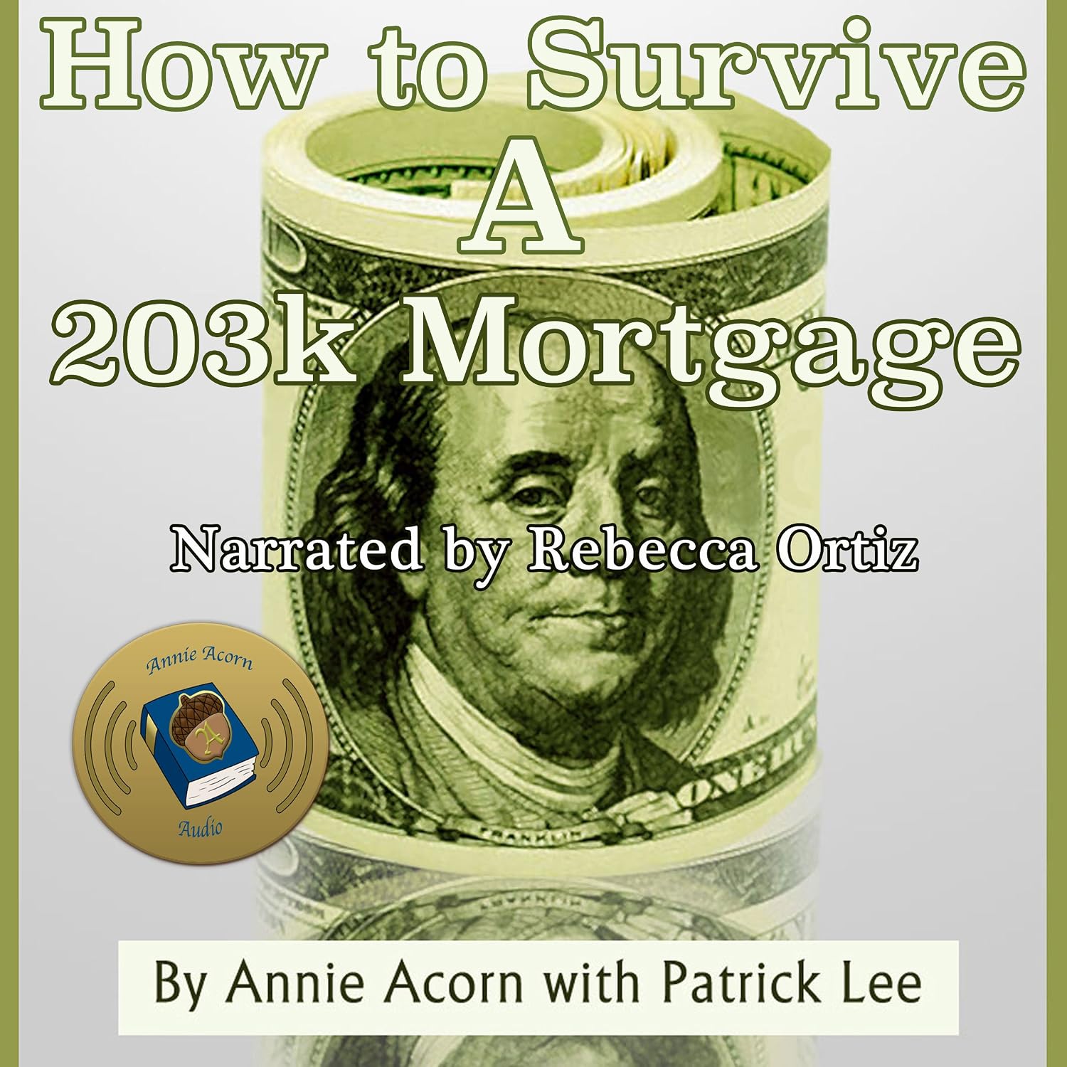 How to Survive a 203K Mortgage baixar o livro de graça