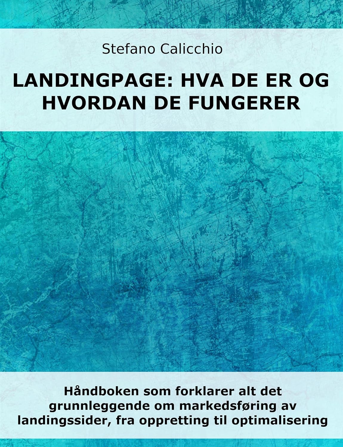 Landingpage: hva de er og hvordan de fungerer: Håndboken som forklarer alt det grunnleggende om markedsføring av landingssider, fra oppretting til optimalisering (Norwegian Bokmal Edition) baixar livro de graça
