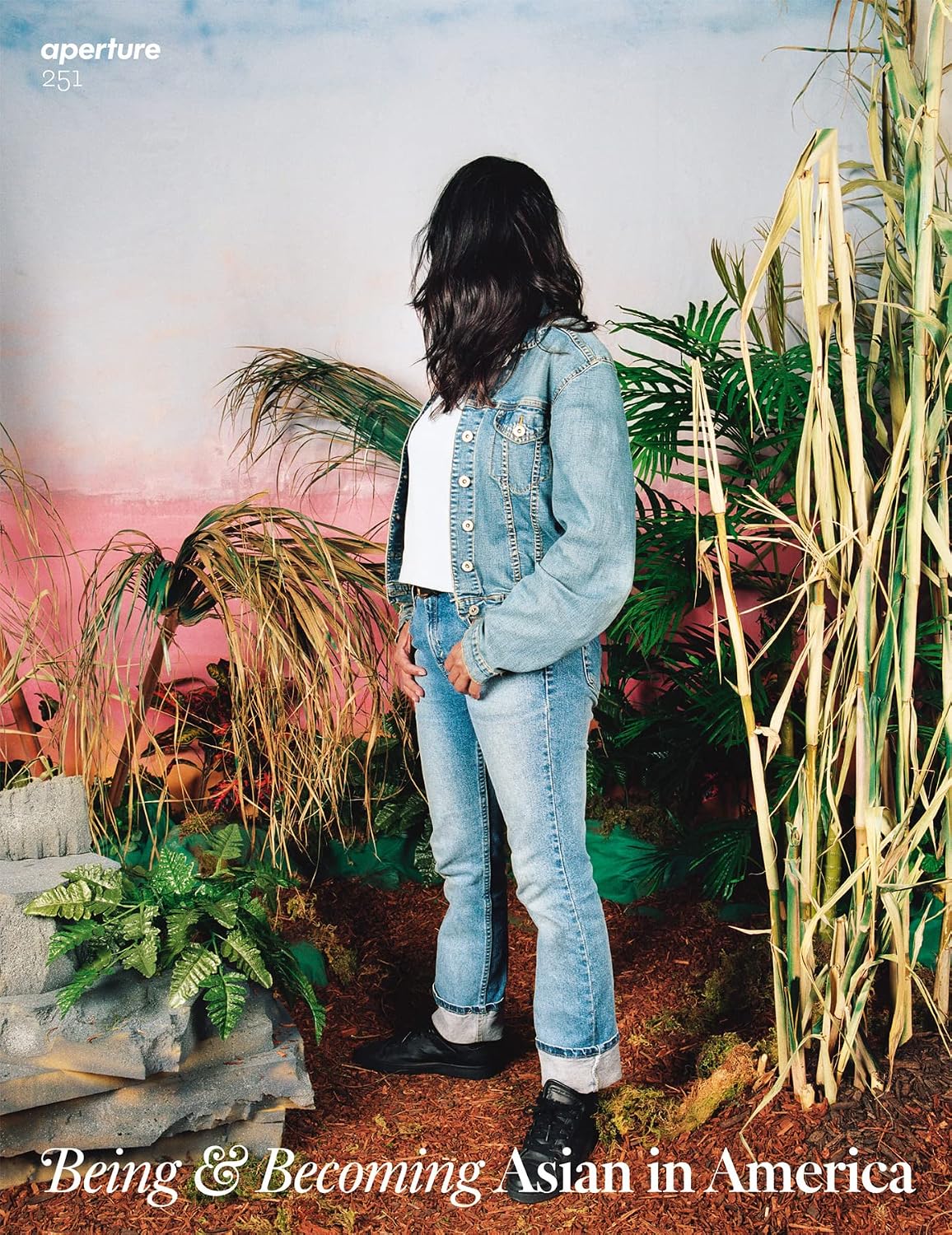 ler totalmente Being & Becoming: Asian in America: Aperture 251