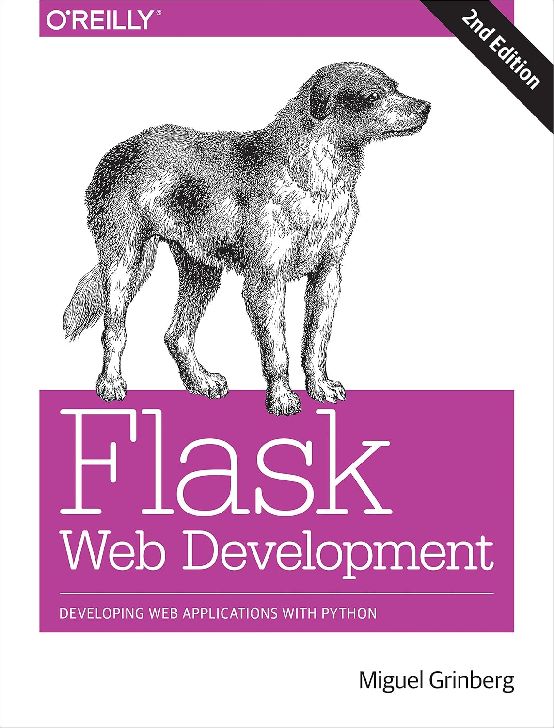capítulo por capítulo baixar Flask Web Development: Developing Web Applications with Python