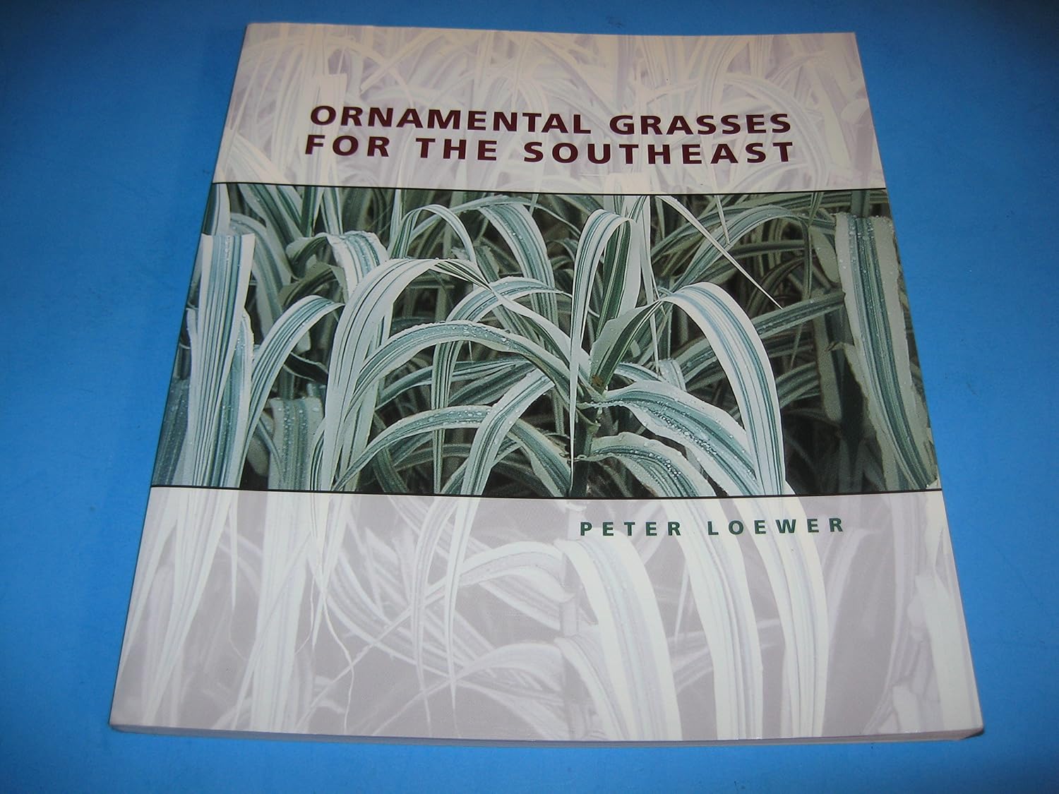 Ornamental Grasses of the Southeast