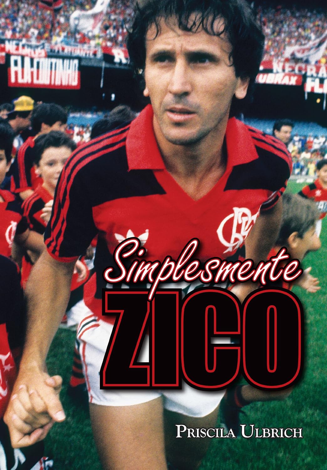 Simplesmente Zico baixar livro de graça