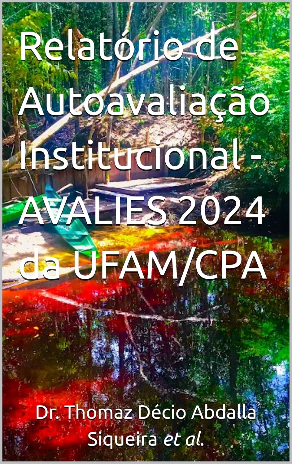 ler totalmente Relatório de Autoavaliação Institucional - AVALIES 2024 da UFAM/CPA