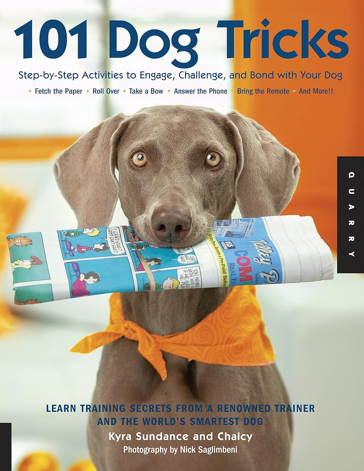 ler totalmente The Most Amazing Silly Dog Tricks: Step by Step Activities to Engage, Challenge, and Bond with Your Dog (Dog Tricks and Training) (English Edition)